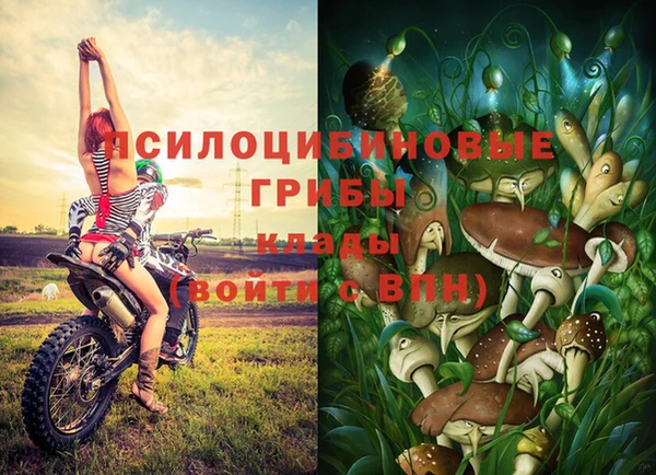 a pvp Богданович
