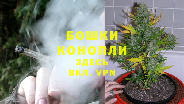 a pvp Богданович