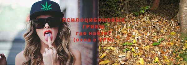 синтетический гашиш Богородицк